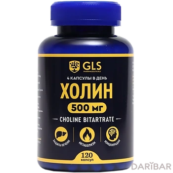 GLS Холин Капсулы 500 Мг №120 в Алматы | GLS pharmaceuticals