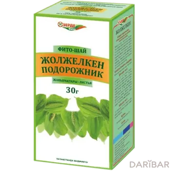 Подорожник Большой Листья 30 Г в Алматы | Зерде-Фито ТОО